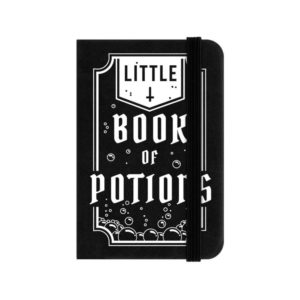 Little Book of Potions Notebook