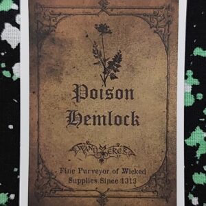 Poison Hemlock Sticker
